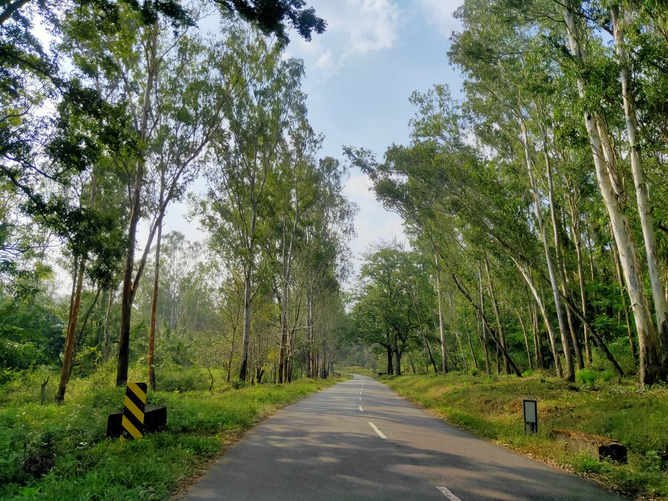 Photo of Road trip to Wayanad #ExploreAgain by Midhun