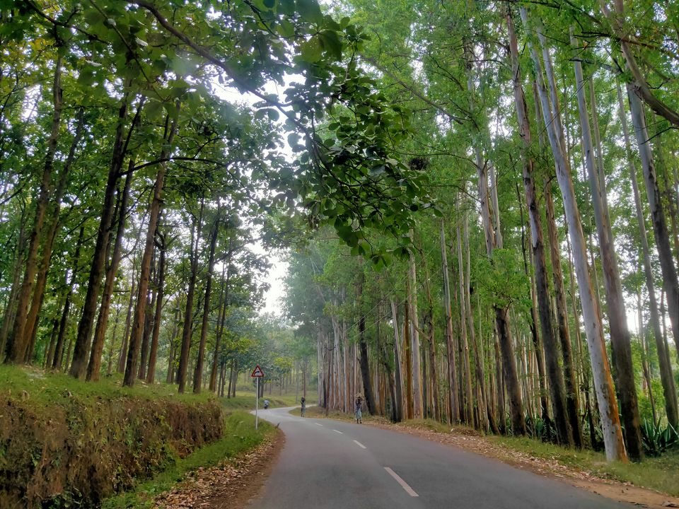 Photo of Road trip to Wayanad #ExploreAgain by Midhun