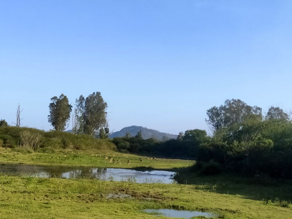 Photo of Road trip to Wayanad #ExploreAgain by Midhun