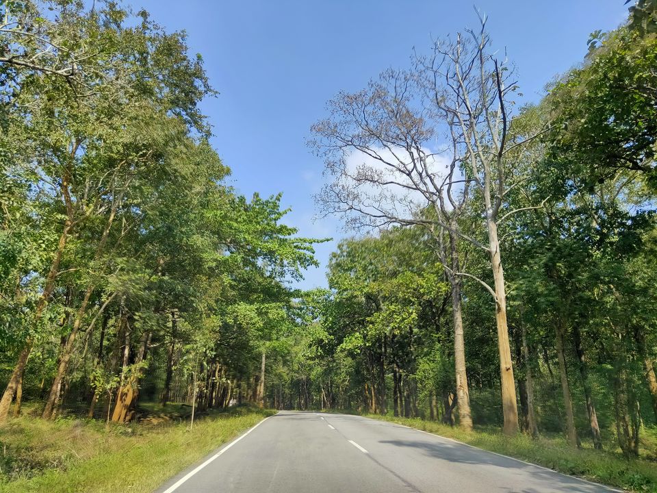 Photo of Road trip to Wayanad #ExploreAgain by Midhun