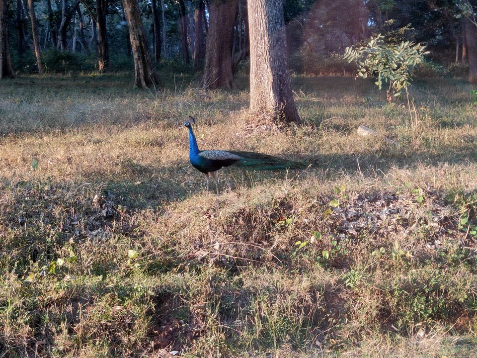 Photo of Road trip to Wayanad #ExploreAgain by Midhun