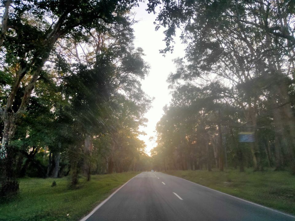 Photo of Road trip to Wayanad #ExploreAgain by Midhun