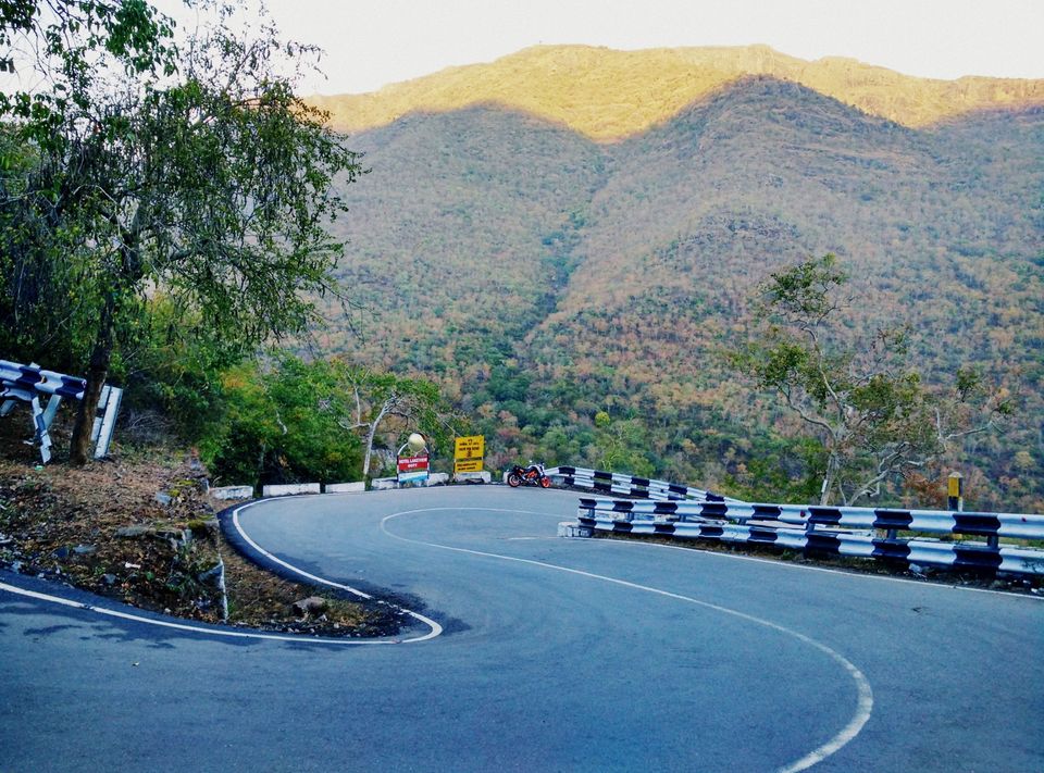 Photo of Short trip to Munnar and Top station 7/24 by Prakash Bhakuni