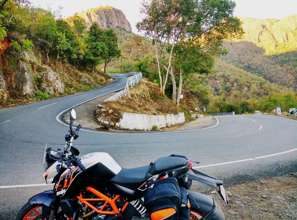 Photo of Short trip to Munnar and Top station 8/24 by Prakash Bhakuni