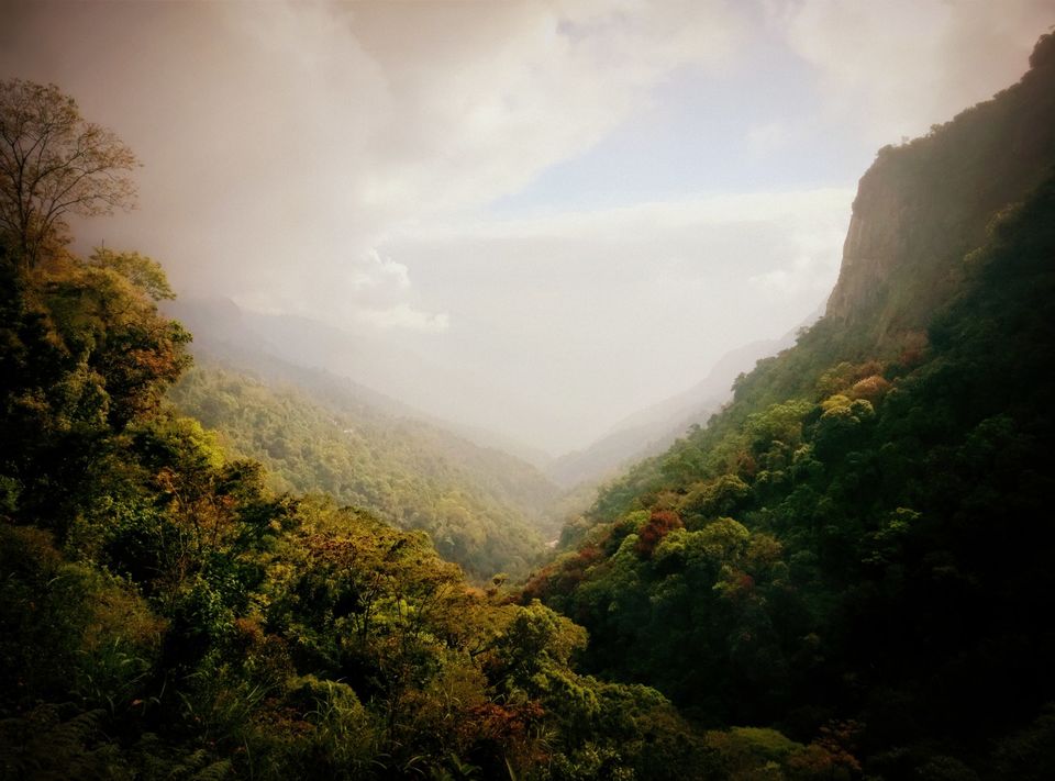 Photo of Short trip to Munnar and Top station 9/24 by Prakash Bhakuni
