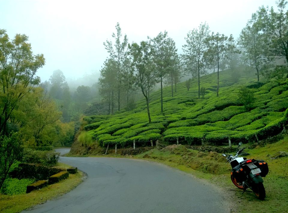 Photo of Short trip to Munnar and Top station 14/24 by Prakash Bhakuni
