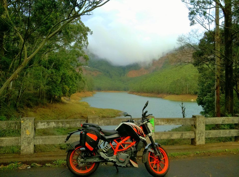 Photo of Short trip to Munnar and Top station 18/24 by Prakash Bhakuni