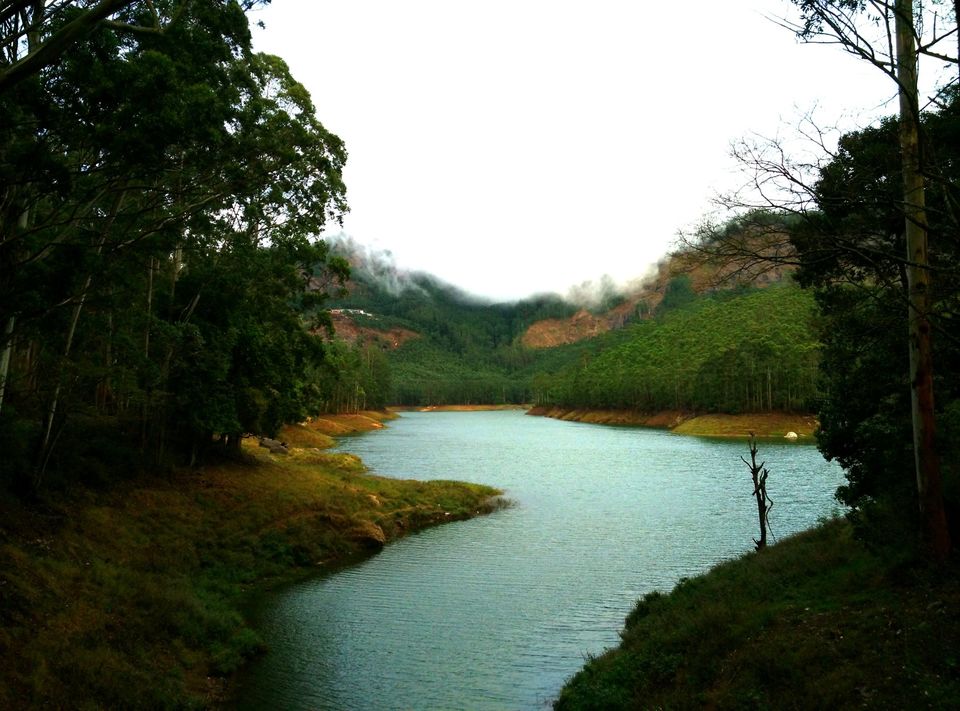 Photo of Short trip to Munnar and Top station 19/24 by Prakash Bhakuni
