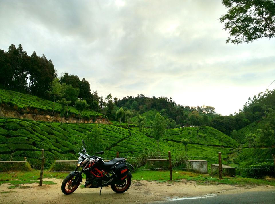 Photo of Short trip to Munnar and Top station 20/24 by Prakash Bhakuni
