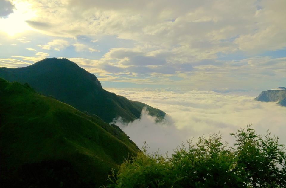 Photo of Short trip to Munnar and Top station 21/24 by Prakash Bhakuni