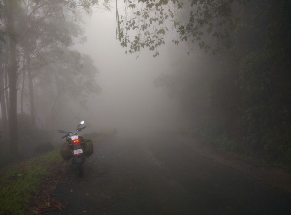 Photo of Short trip to Munnar and Top station 23/24 by Prakash Bhakuni