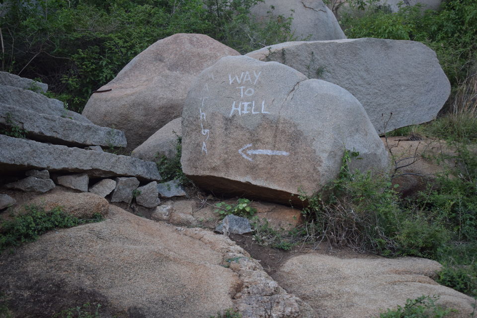 Photo of Hampi - Rich Heritage 29/66 by Sreedhar Jujare