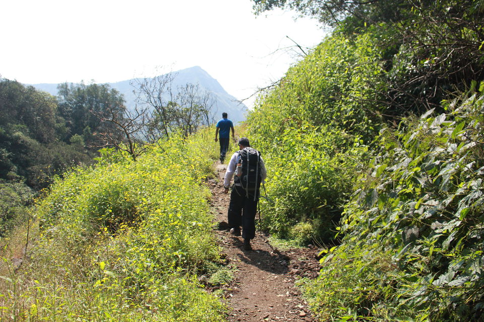 Photo of Andharban - The Dark Forest Trek guide by Uday Pednekar