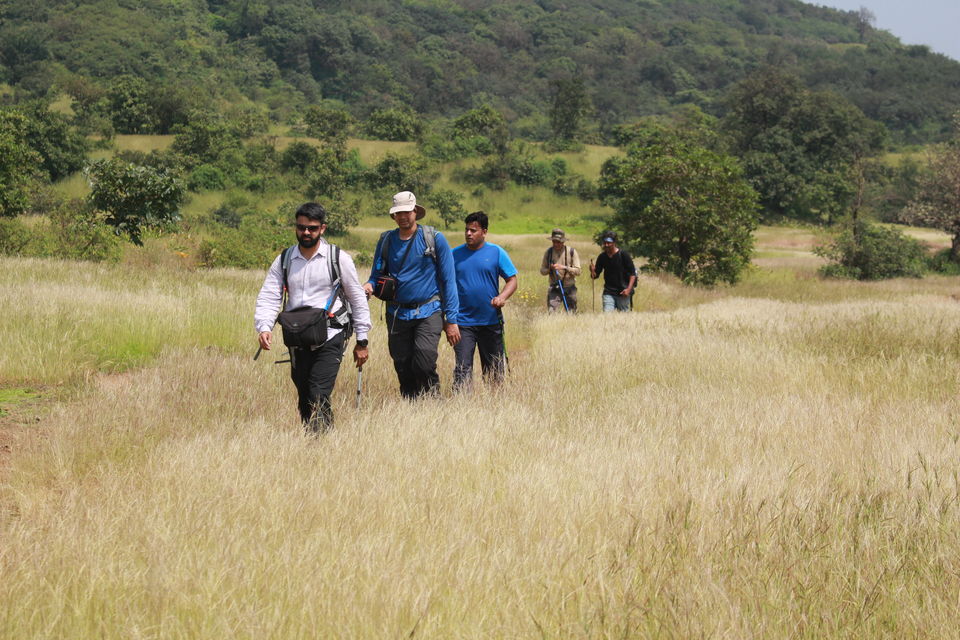 Photo of Andharban - The Dark Forest Trek guide by Uday Pednekar