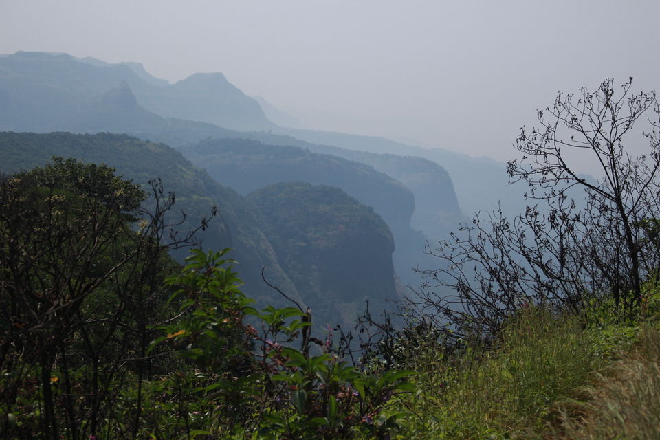 Photo of Andharban - The Dark Forest Trek guide by Uday Pednekar