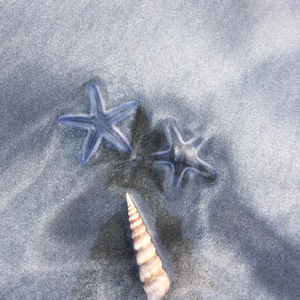 Photo of Tarkarli Beach, Sindhudurg, Maharashtra, India by Spoorthi Kedambadi