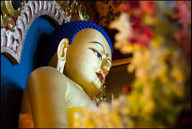 Photo of Dalai Lama, Dharamshala, Himachal Pradesh, India by Spoorthi Kedambadi