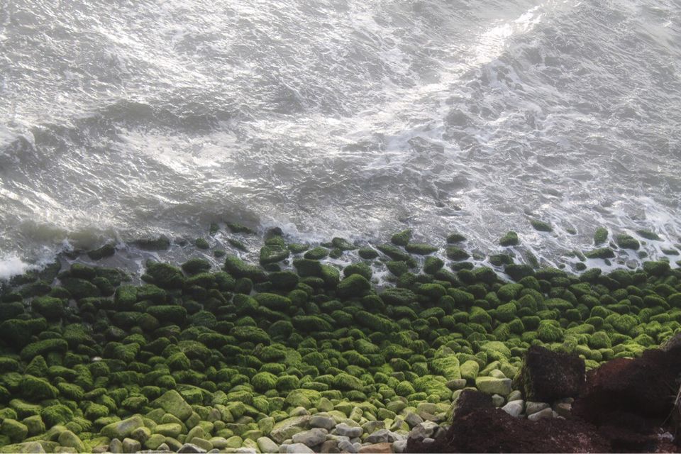 Photo of Cliff Story-Varkala by Spoorthi Kedambadi