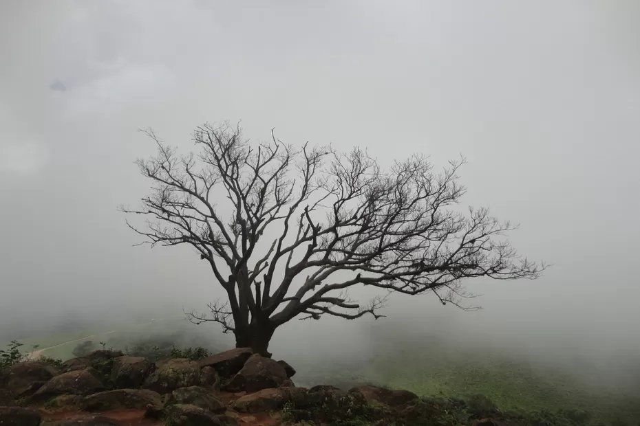 Photo of Mandalpatti, Hammiyala, Karnataka, India by Spoorthi Kedambadi