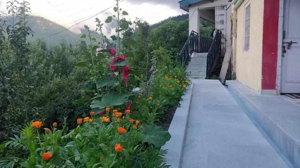 Photo of Kalpa, Himachal Pradesh, India by Mady Velkar