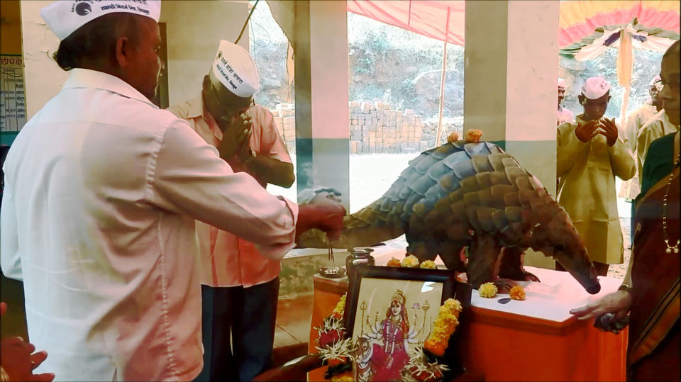 Photo of A Village Where Pangolins are Worshiped like gods by Mady Velkar