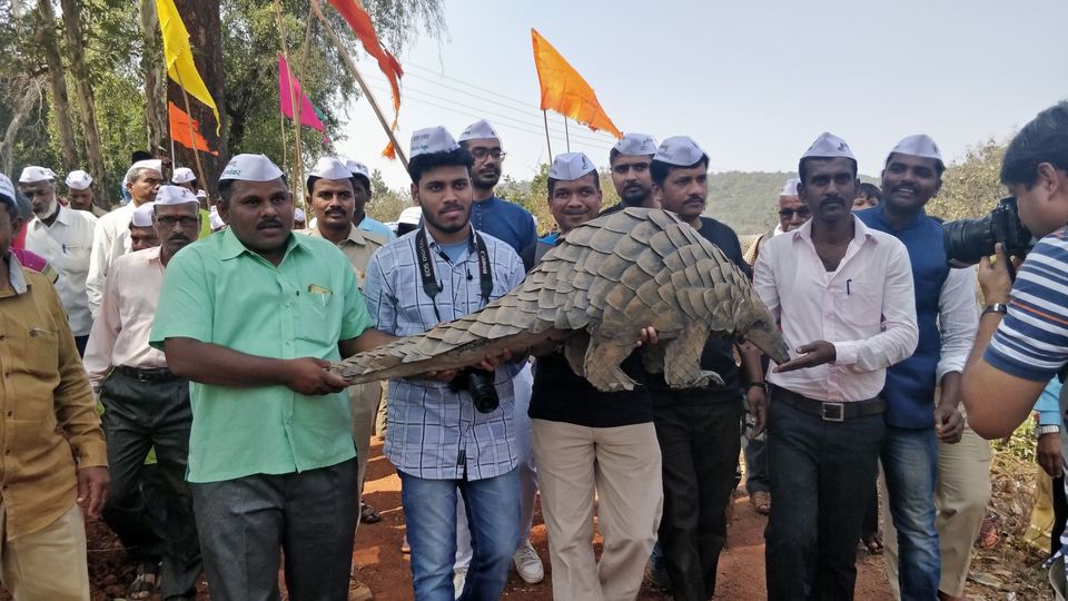 Photo of A Village Where Pangolins are Worshiped like gods by Mady Velkar