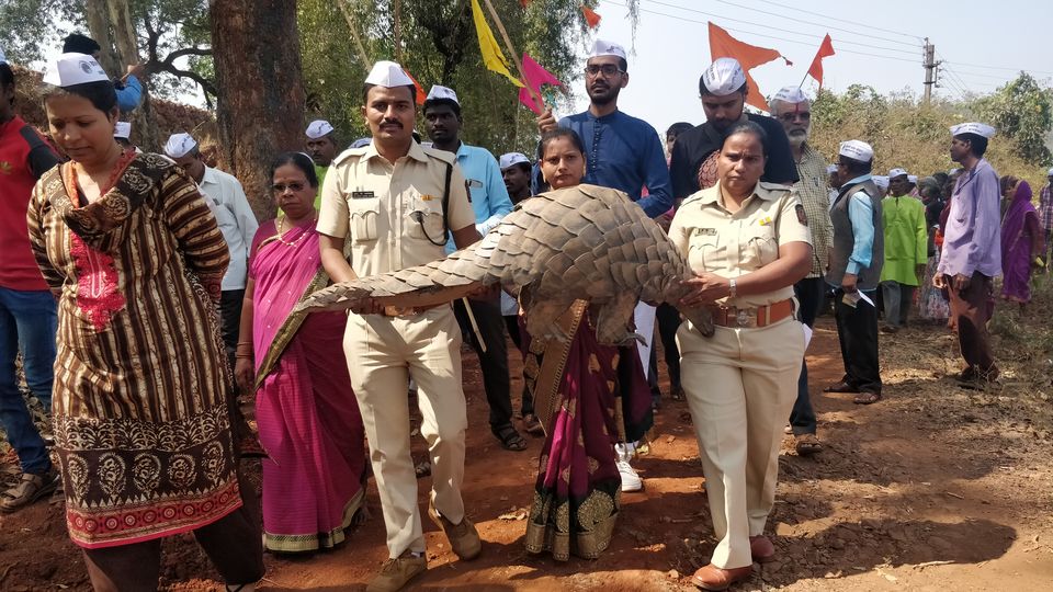 Photo of A Village Where Pangolins are Worshiped like gods by Mady Velkar