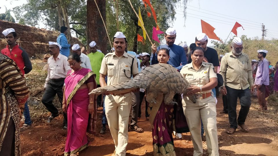 Photo of A Village Where Pangolins are Worshiped like gods by Mady Velkar