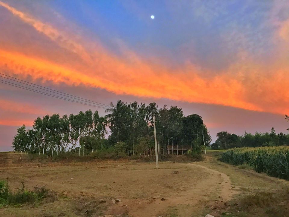 Photo of Road Trip to Coorg by Aditya Joshi