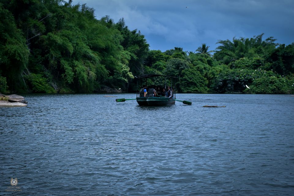 Photo of Ranganathittu Bird Sanctuary, Srirangapatna, Karnataka, India by Vishnuram M