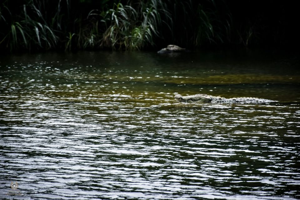Photo of Ranganathittu Bird Sanctuary, Srirangapatna, Karnataka, India by Vishnuram M