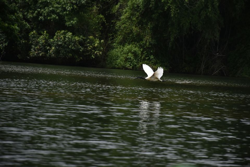 Photo of Ranganathittu Bird Sanctuary, Srirangapatna, Karnataka, India by Vishnuram M