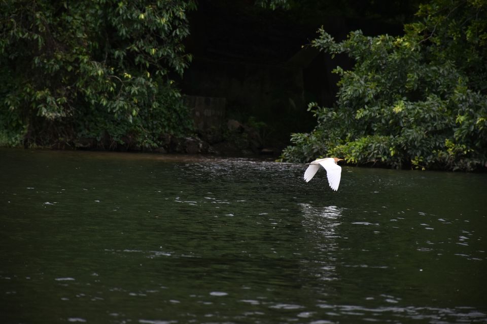 Photo of Ranganathittu Bird Sanctuary, Srirangapatna, Karnataka, India by Vishnuram M