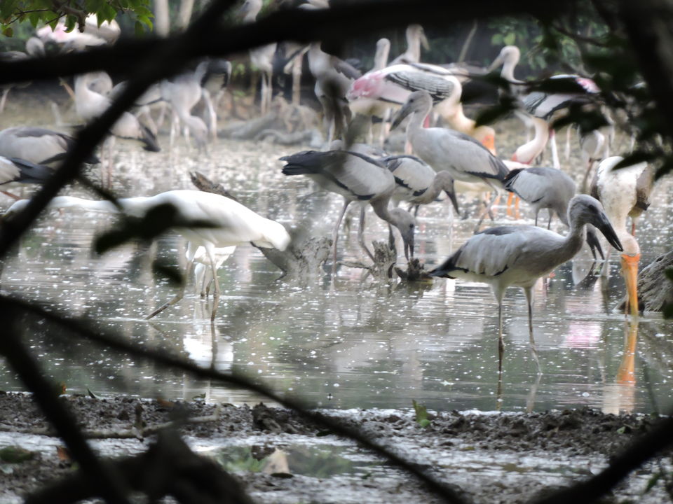 Photo of Kendrapara, Odisha, India by Bappaditya Bhattacharya