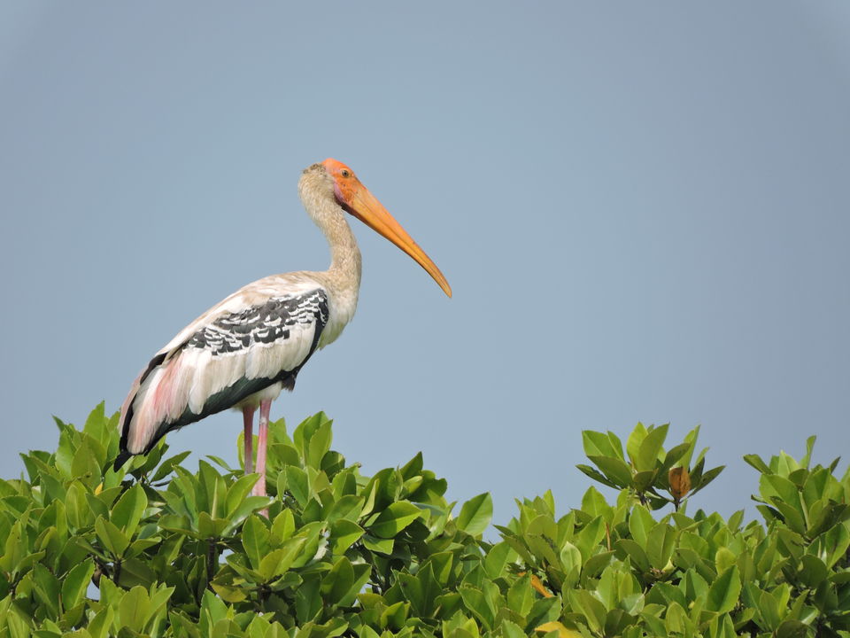 Photo of Kendrapara, Odisha, India by Bappaditya Bhattacharya