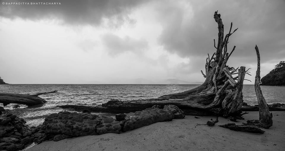 Photo of Postcards from Andaman. by Bappaditya Bhattacharya