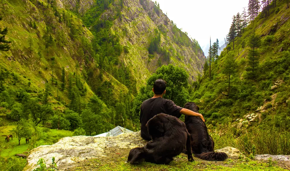 Photo of Rasol, Himachal Pradesh, India by Bappaditya Bhattacharya