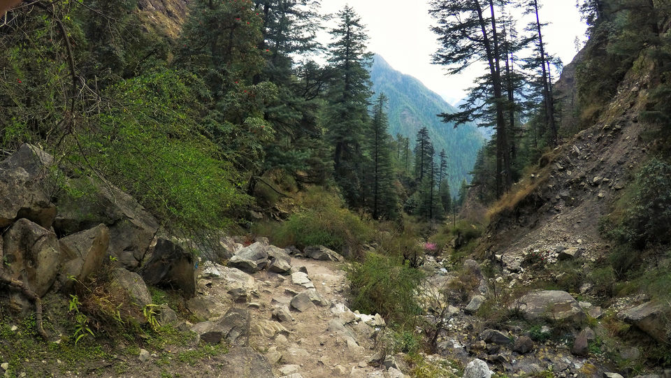 Photo of Rasol, Himachal Pradesh, India by Bappaditya Bhattacharya