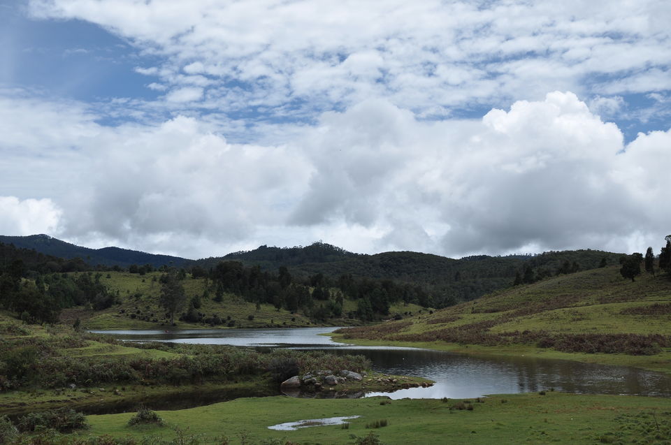 Photo of Kodaikanal, Tamil Nadu, India by Bappaditya Bhattacharya