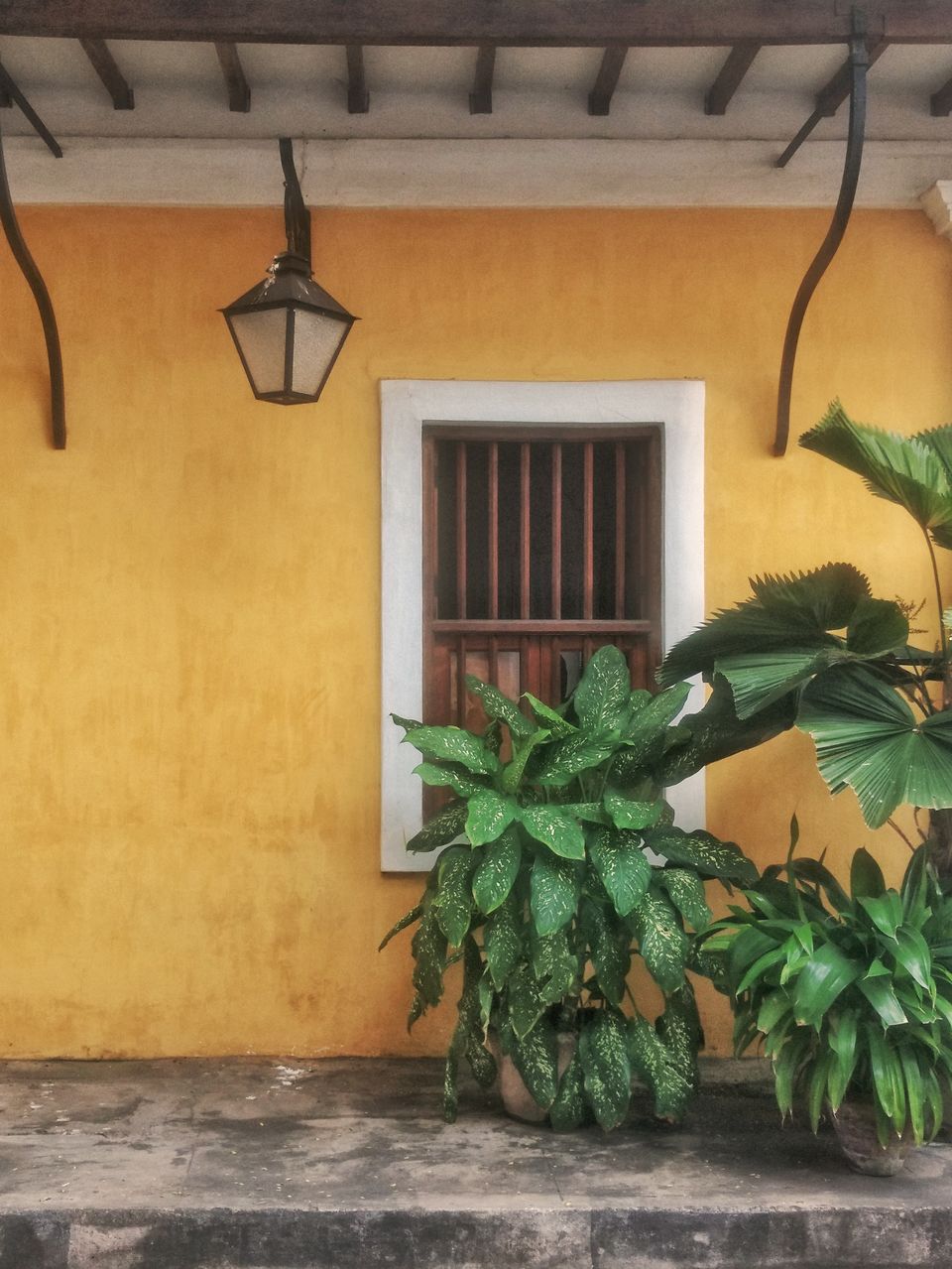 Photo of Pondicherry, Puducherry, India by Bappaditya Bhattacharya