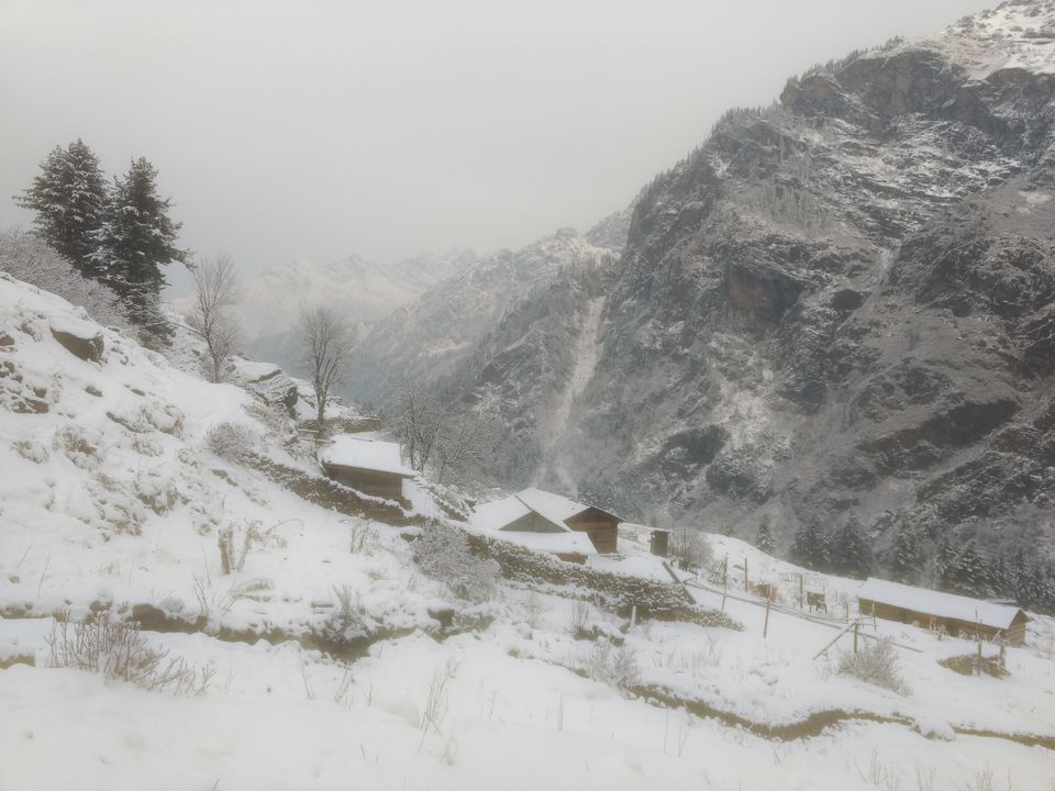 Photo of Kheerganga : A mystical Fairyland 4/25 by Kush Gupta