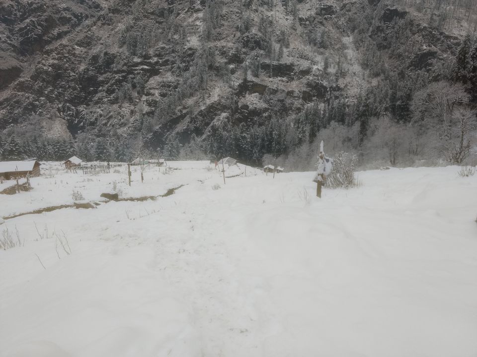 Photo of Kheerganga : A mystical Fairyland 7/25 by Kush Gupta