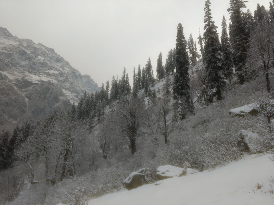 Photo of Kheerganga : A mystical Fairyland 8/25 by Kush Gupta