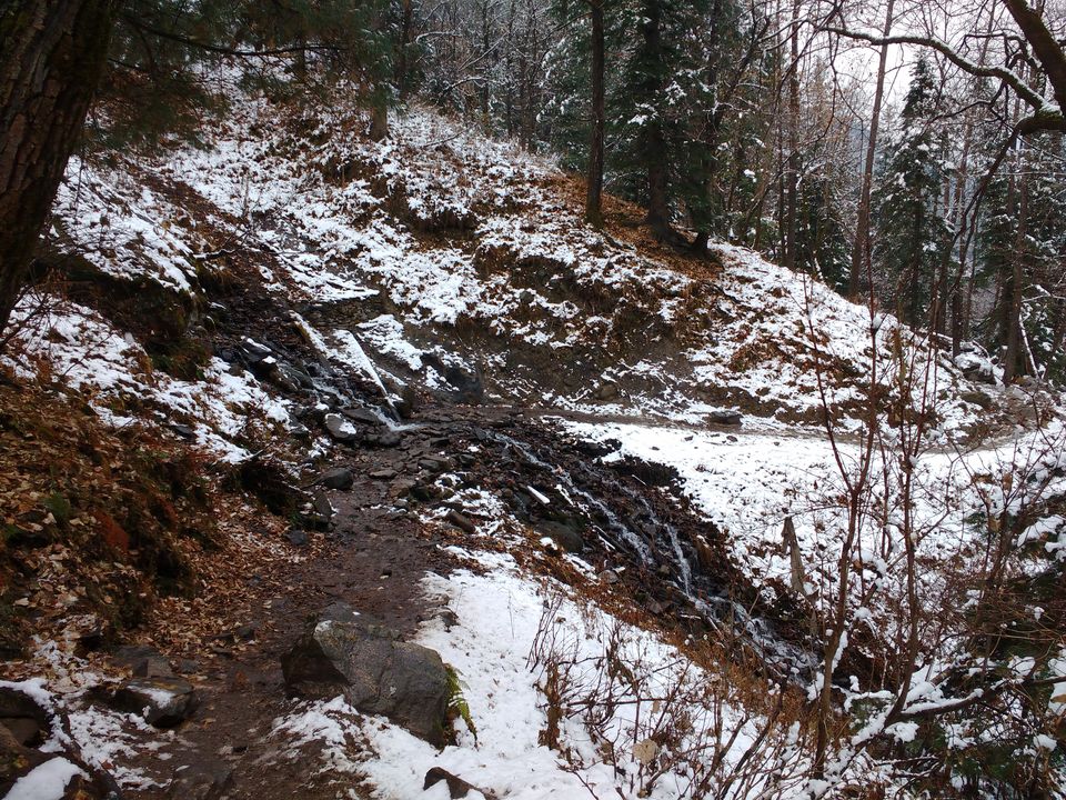 Photo of Kheerganga : A mystical Fairyland 16/25 by Kush Gupta