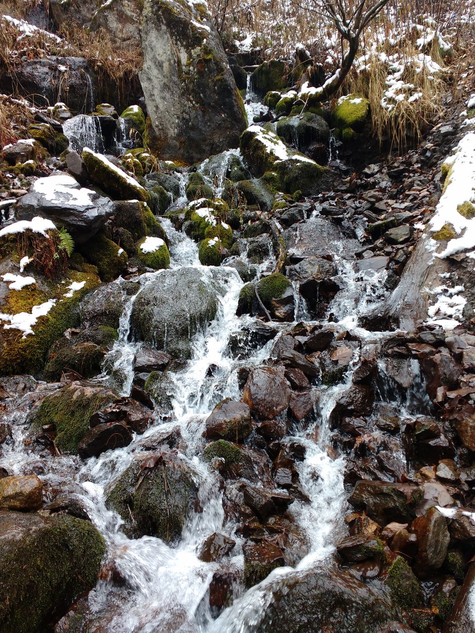 Photo of Kheerganga : A mystical Fairyland 17/25 by Kush Gupta