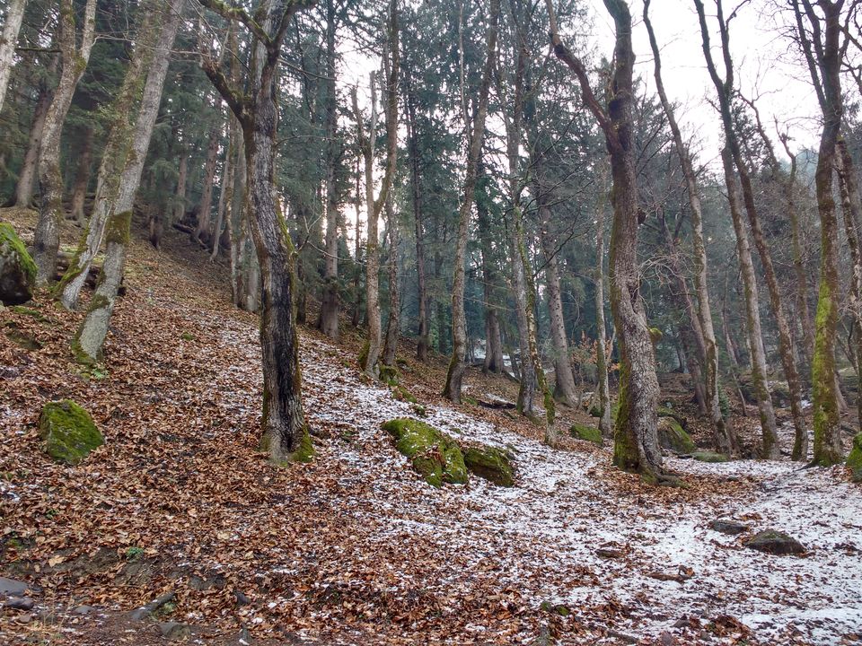 Photo of Kheerganga : A mystical Fairyland 20/25 by Kush Gupta