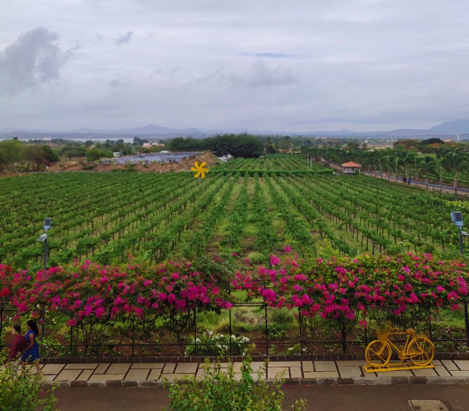 Photo of Sula Vineyards:Perfect Weekend Getaway by NiveditaShinde