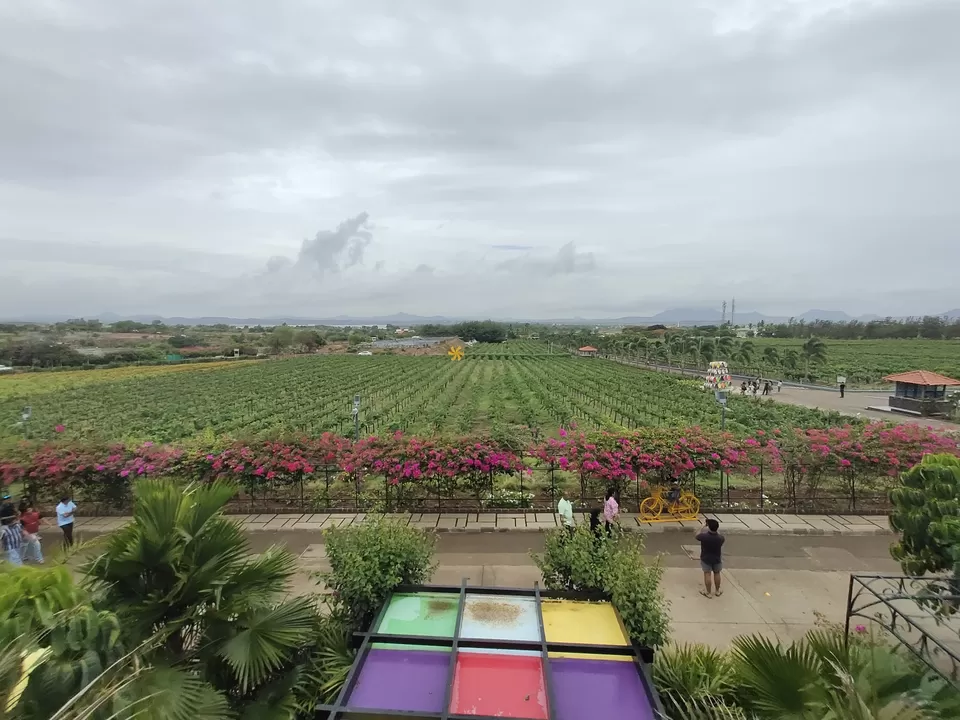 Photo of Sula Vineyards:Perfect Weekend Getaway by NiveditaShinde