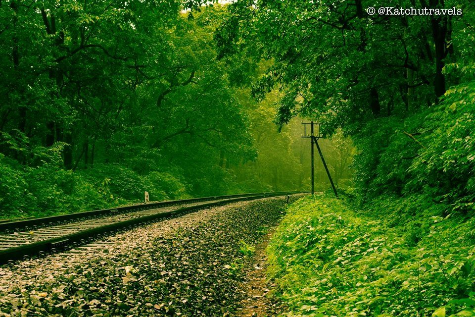 Photo of Hidden treasure in Goa - Dudhsagar Waterfall 1/11 by Aman Gupta