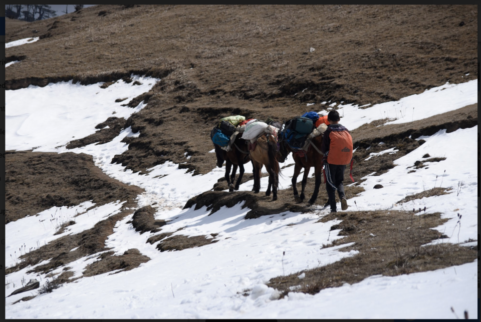 Photo of A sober choice of trekking solo over trekking with college friends - charting out pros and cons 2/7 by vidhi bubna